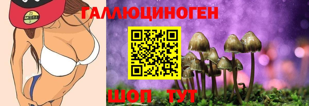 Александров  Галлюциногенные грибы прущие грибы  Вход с VPN 